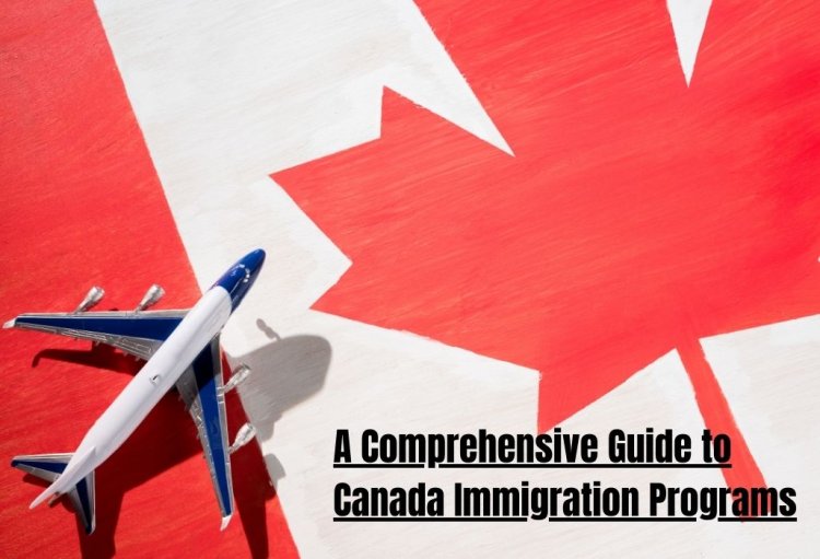 A Comprehensive Guide to Canada Immigration Programs: Which One Is Right for You?