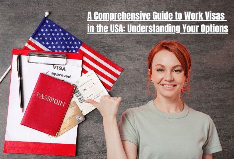 A Comprehensive Guide to Work Visas in the USA: Understanding Your Options