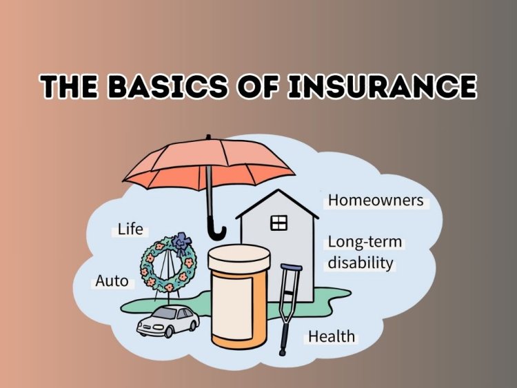 The Basics of Insurance: What Every Policyholder Needs to Know
