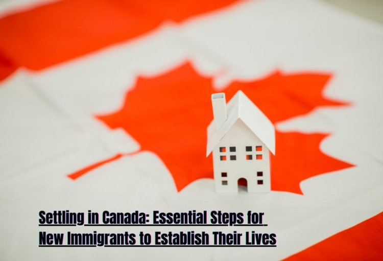 Settling in Canada: Essential Steps for New Immigrants to Establish Their Lives